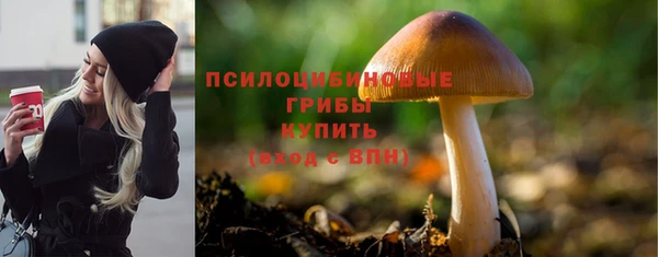 PSILOCYBIN Нягань