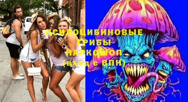 a pvp Няндома