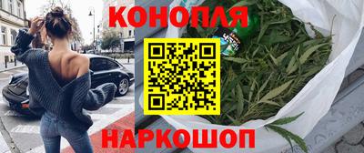 сатива Бузулук