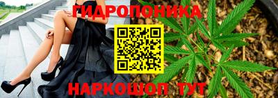 сатива Бузулук