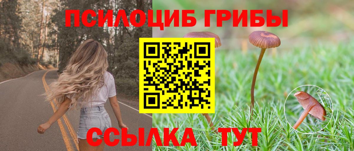 Псилоцибиновые грибы Cubensis Бузулук