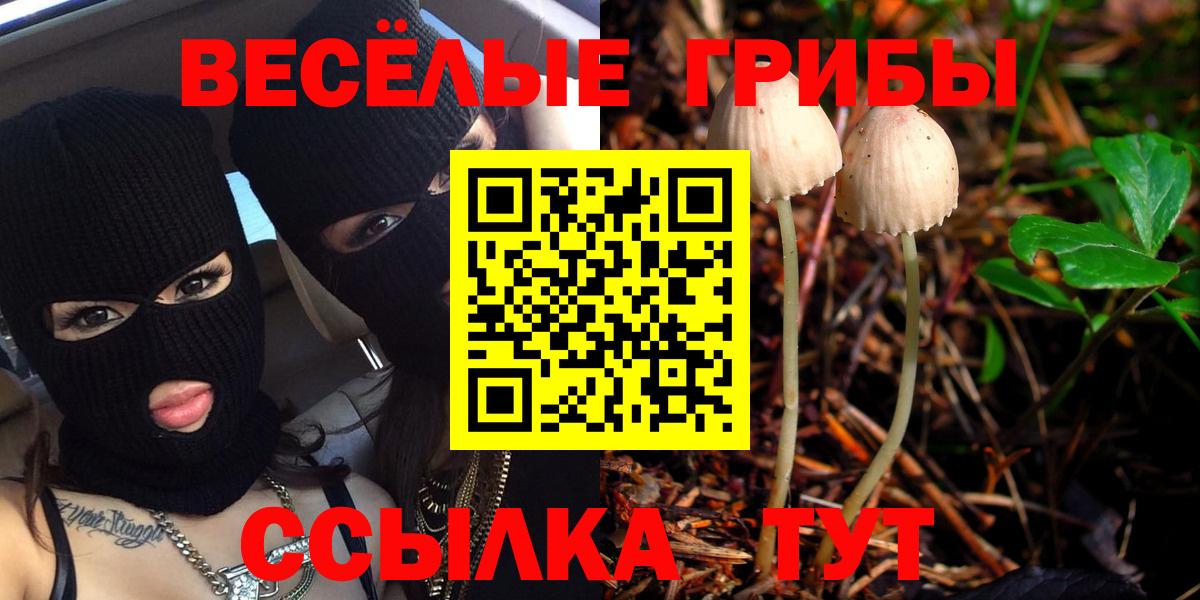 Галлюциногенные грибы ЛСД  Бузулук 