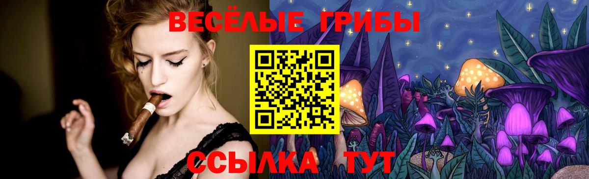 как найти закладки  Вход с VPN  Бузулук  Галлюциногенные грибы Psilocybe 